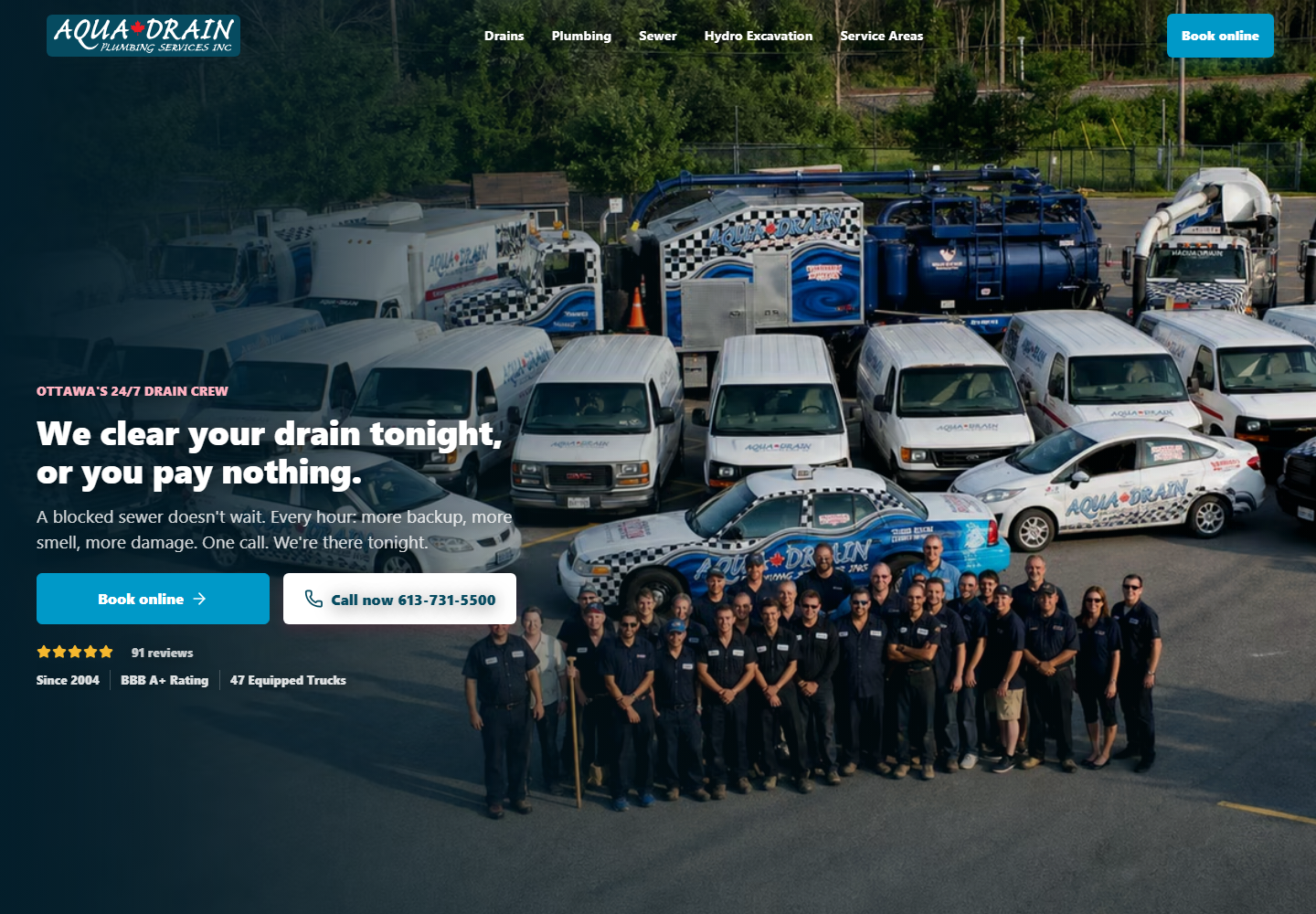 Aqua Drain demo website screenshot